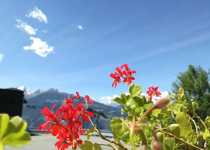 Apartment Fleurs De Neige Pila (Valle d'Aosta)